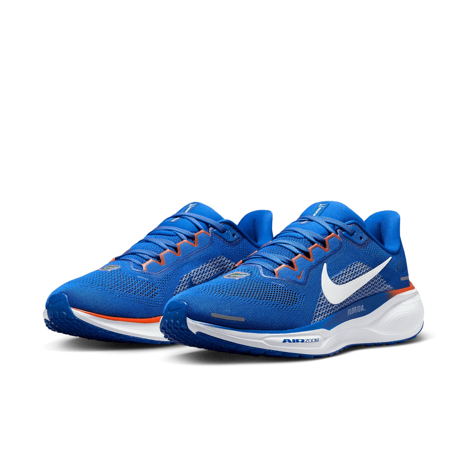Nike Zoom Pegasus 41 Florida image 4