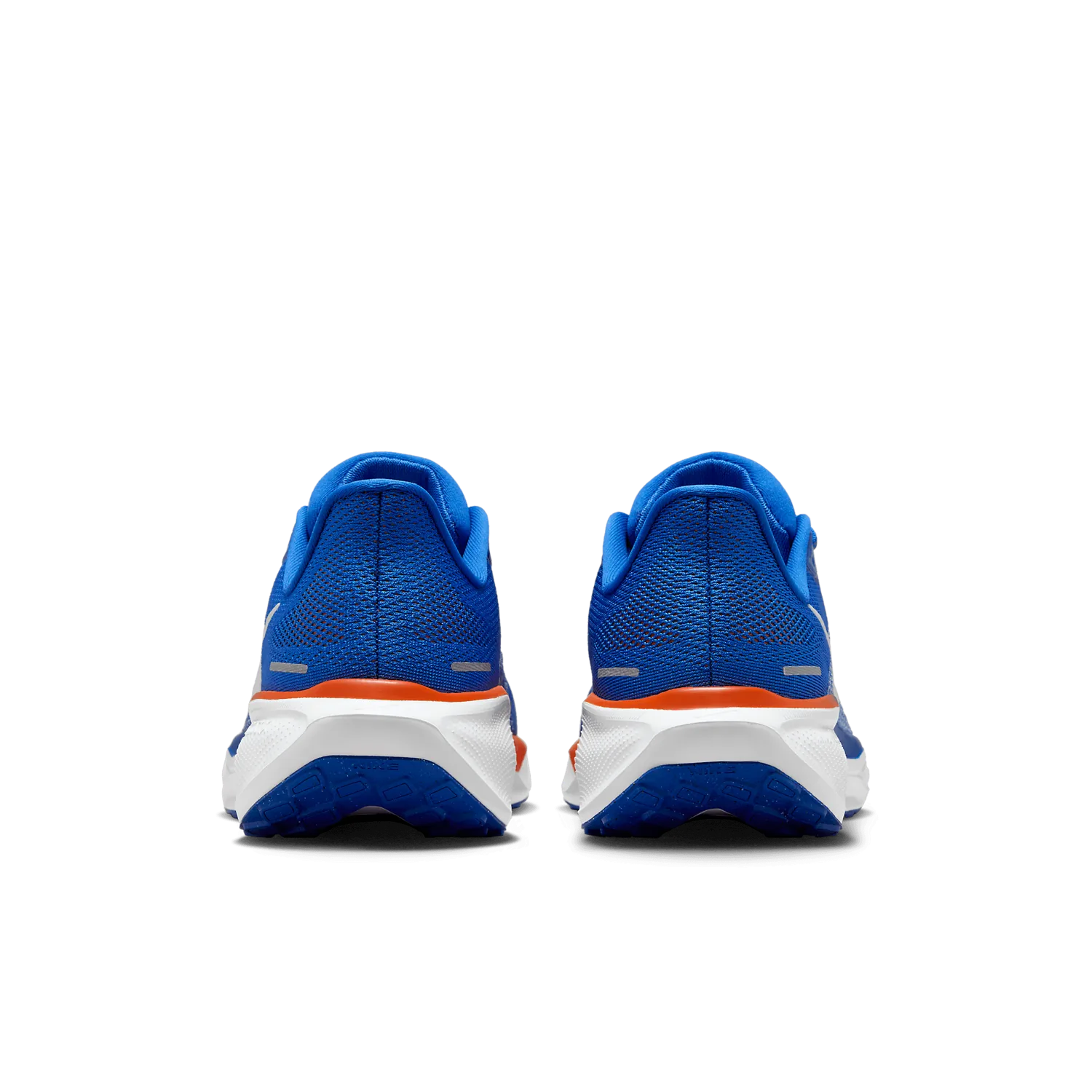 Nike Zoom Pegasus 41 Florida image 5