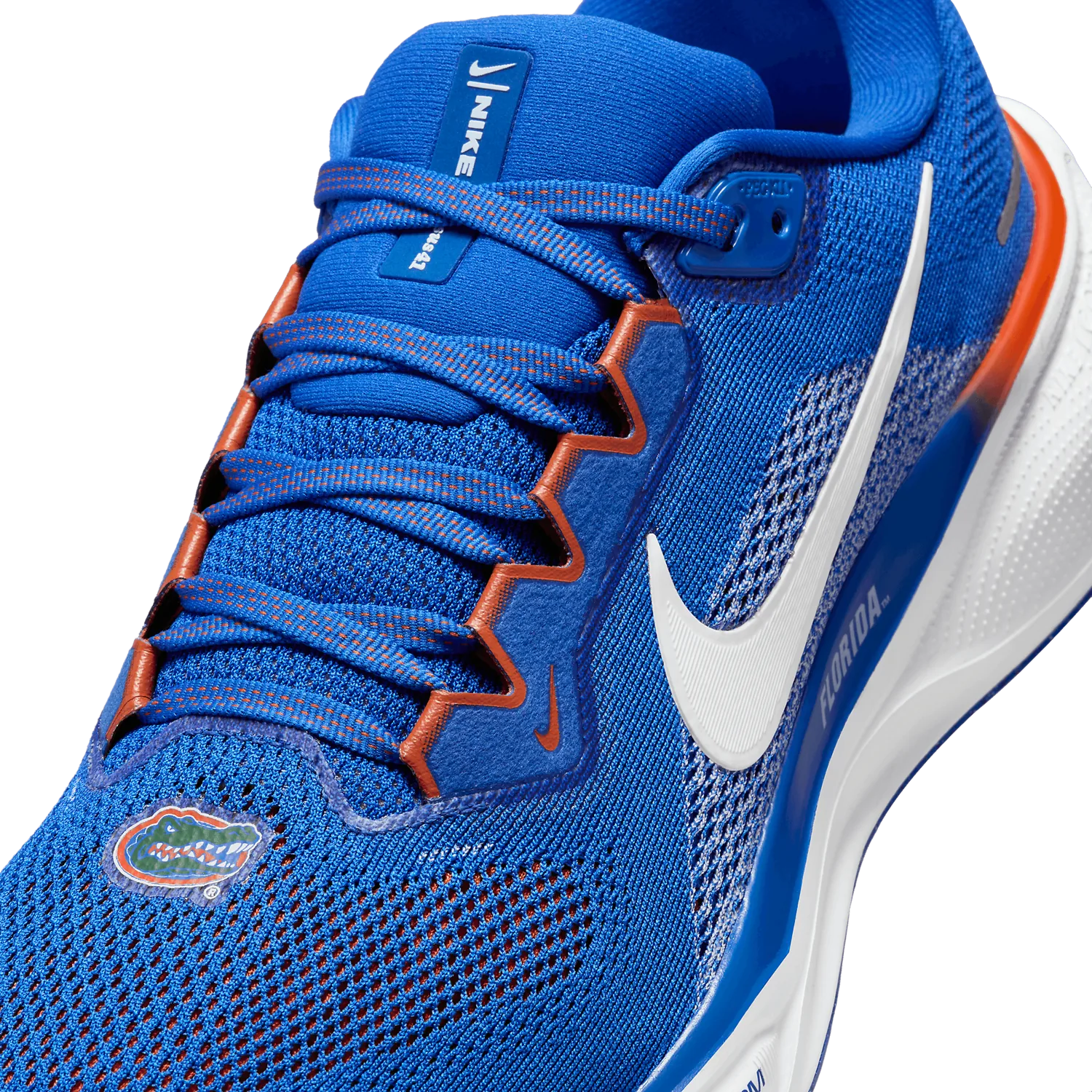 Nike Zoom Pegasus 41 Florida image 6