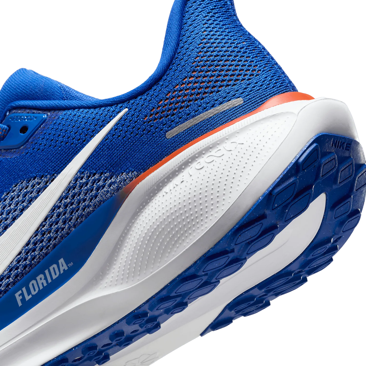 Nike Zoom Pegasus 41 Florida image 7