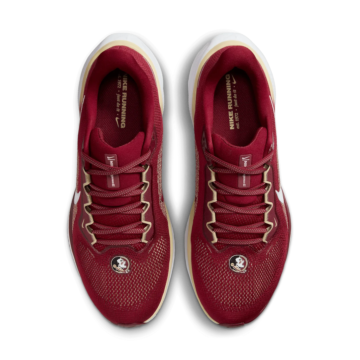 Nike Zoom Pegasus 41 FSU image 3