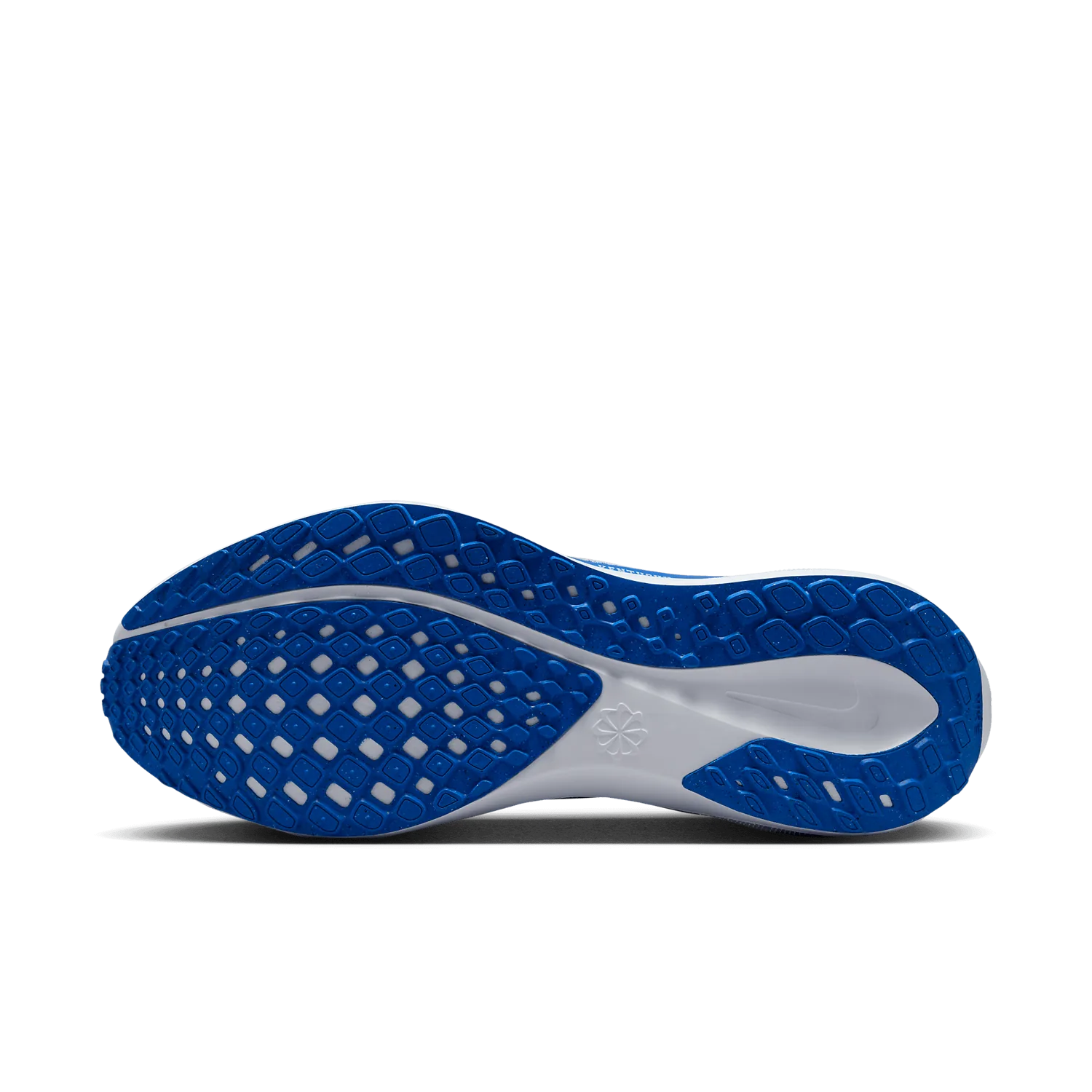 Nike Zoom Pegasus 41 Kentucky image 2