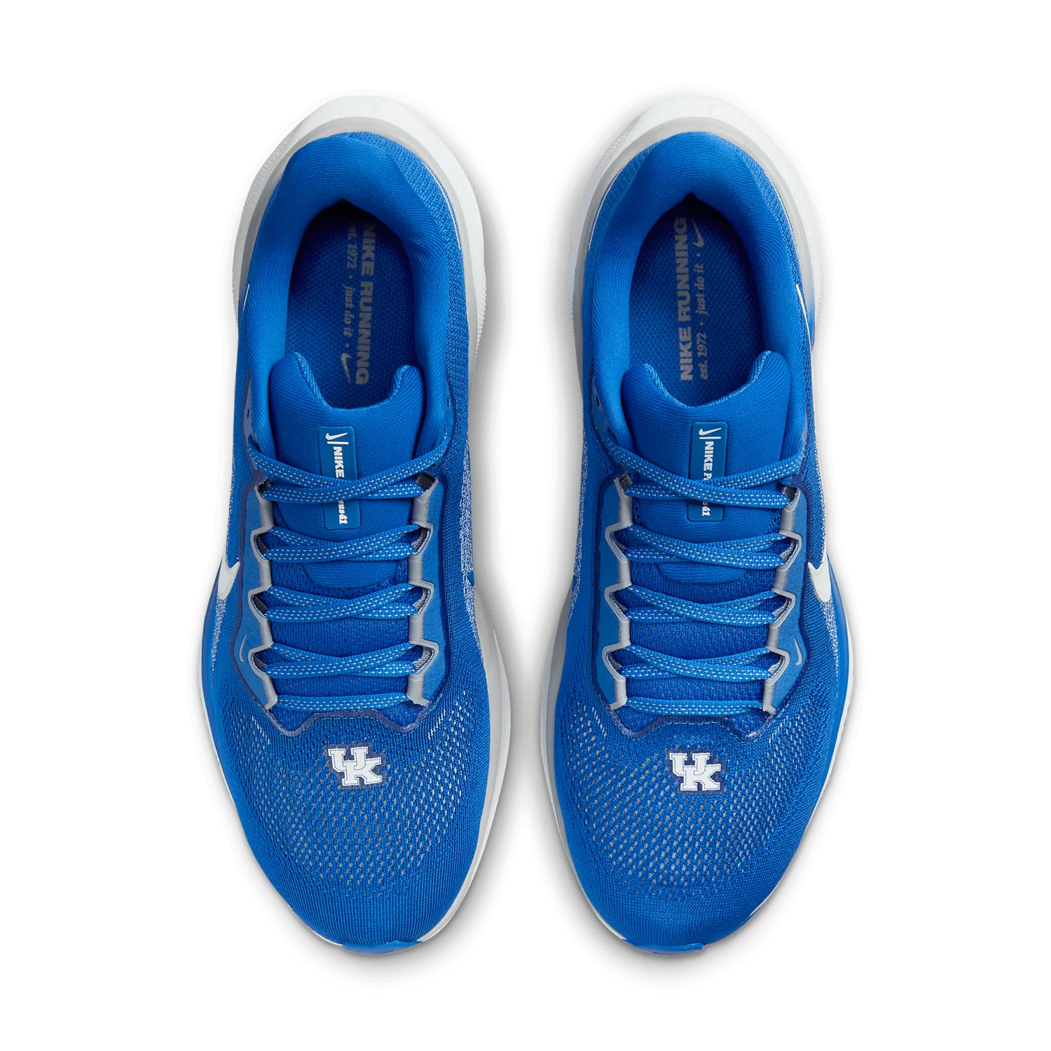 Nike Zoom Pegasus 41 Kentucky image 3