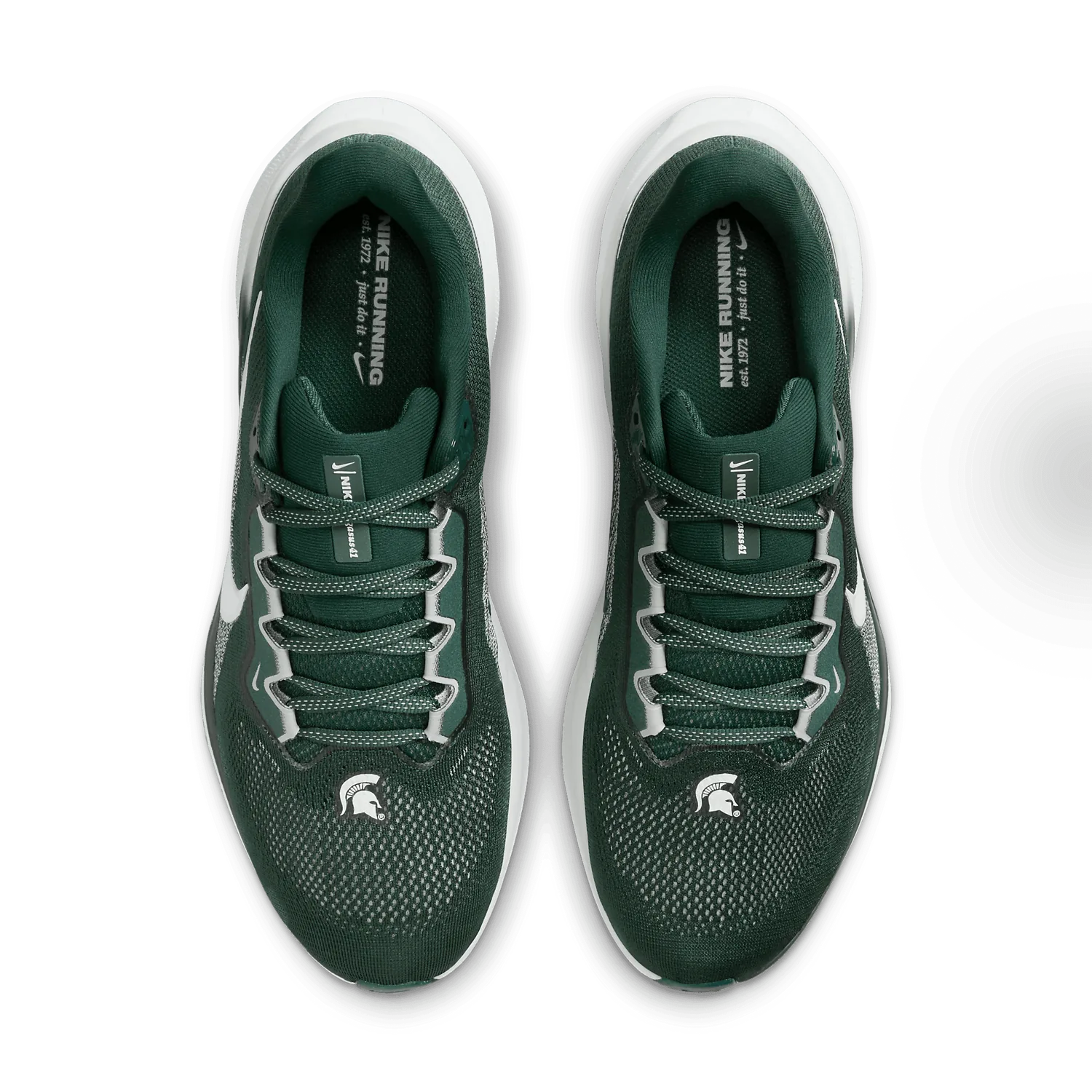 Nike Zoom Pegasus 41 Michigan State image 3
