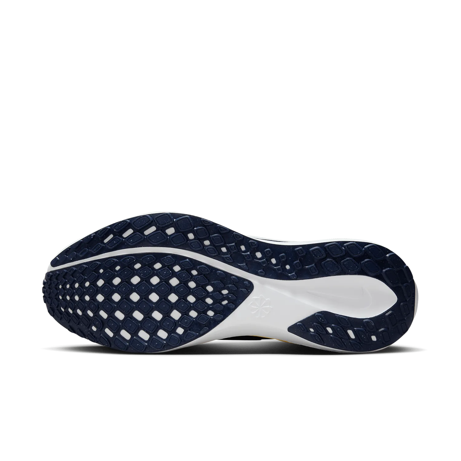 Nike Zoom Pegasus 41 Michigan image 2