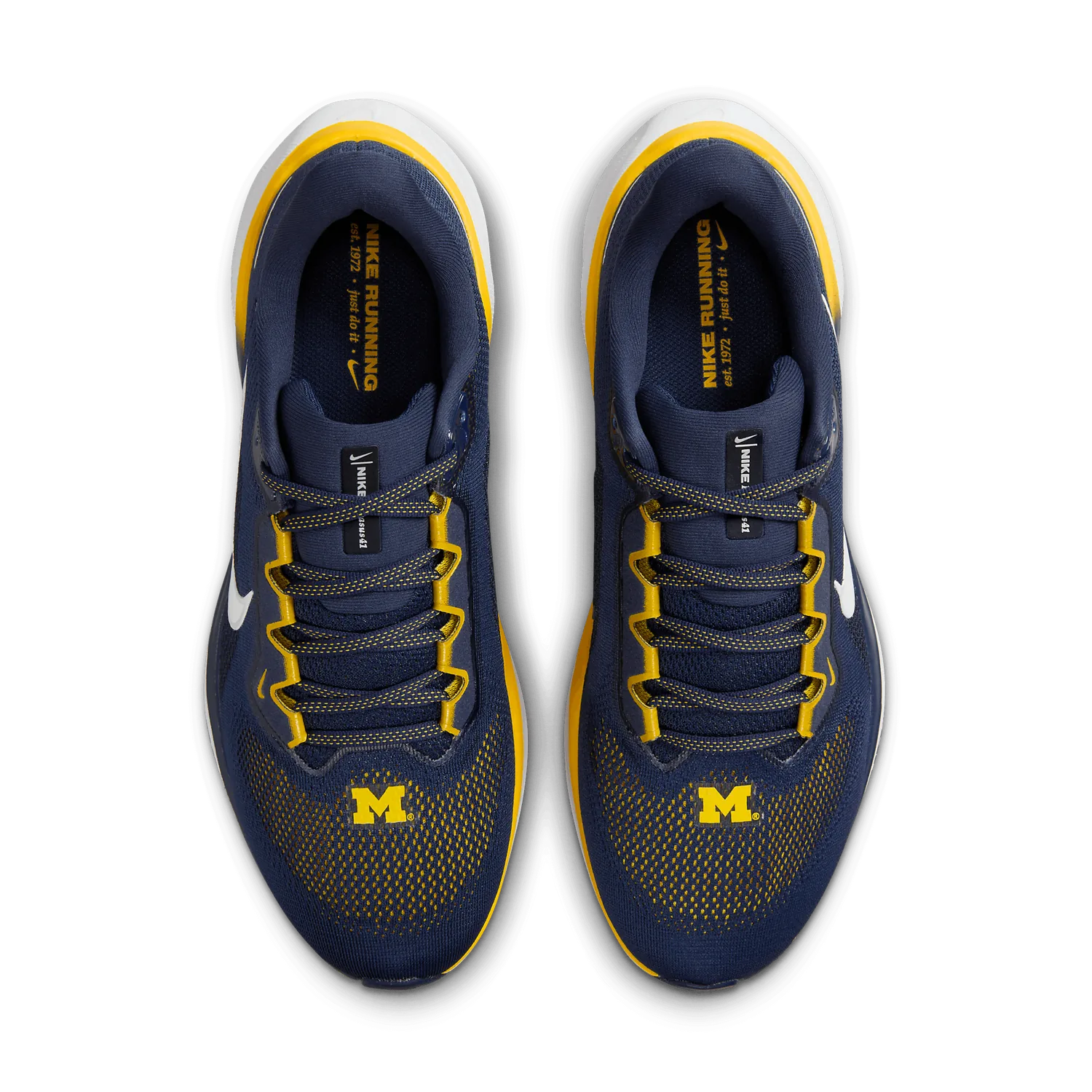Nike Zoom Pegasus 41 Michigan image 3