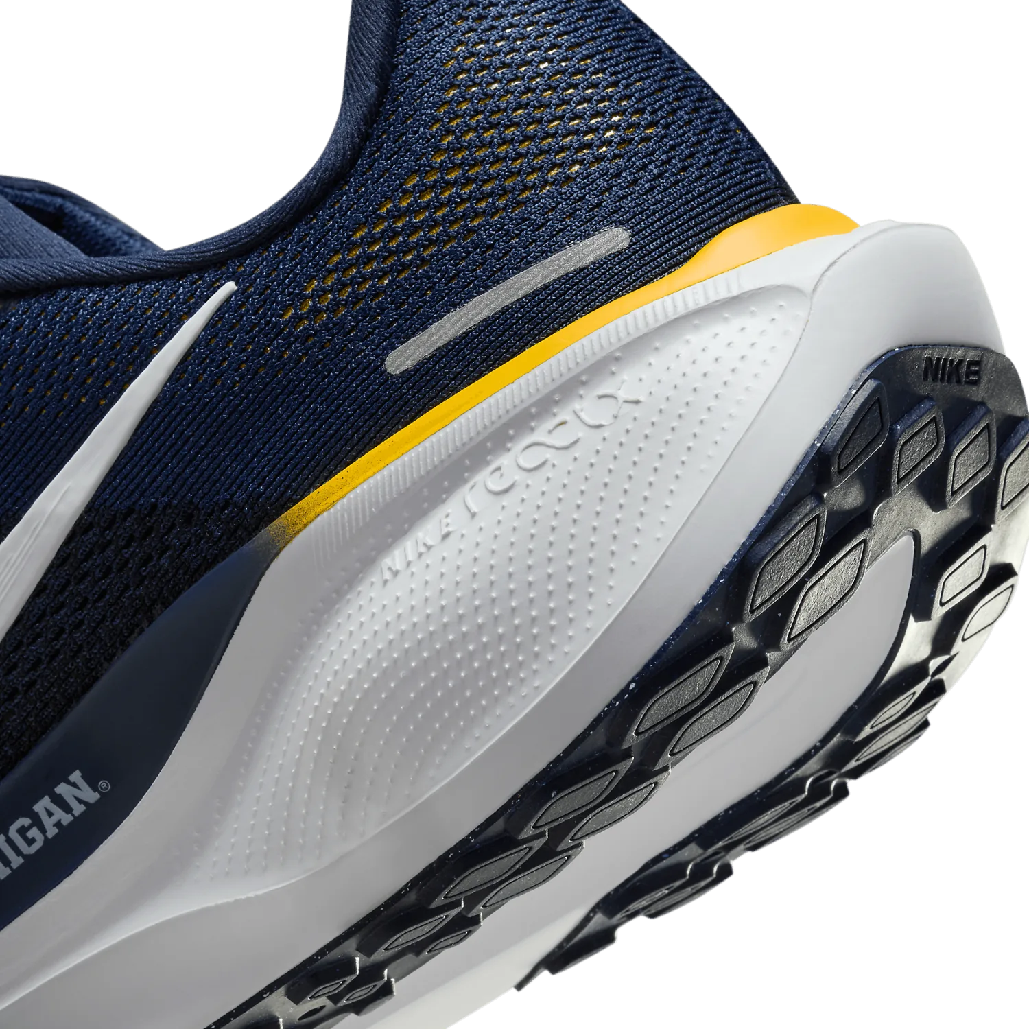 Nike Zoom Pegasus 41 Michigan image 7