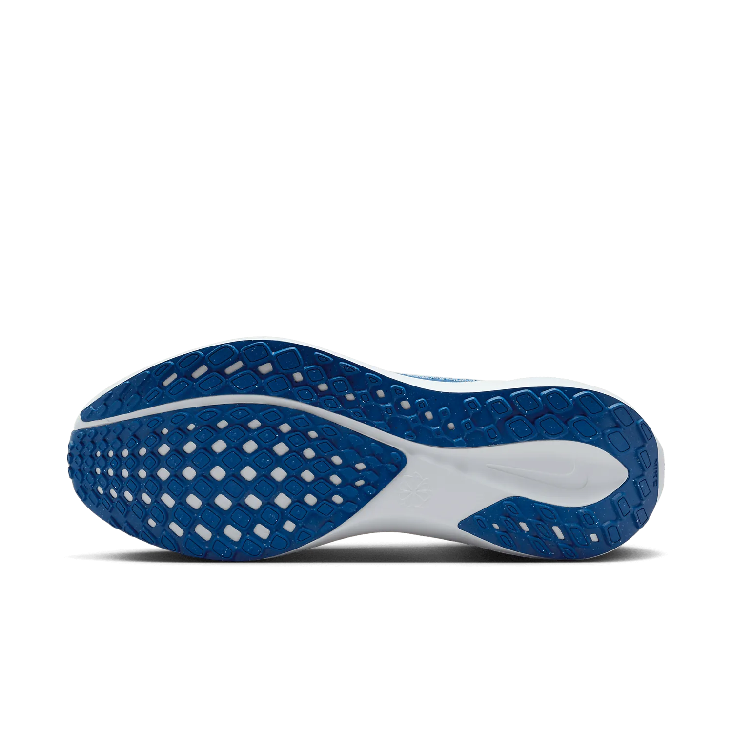 Nike Zoom Pegasus 41 NCAT image 2