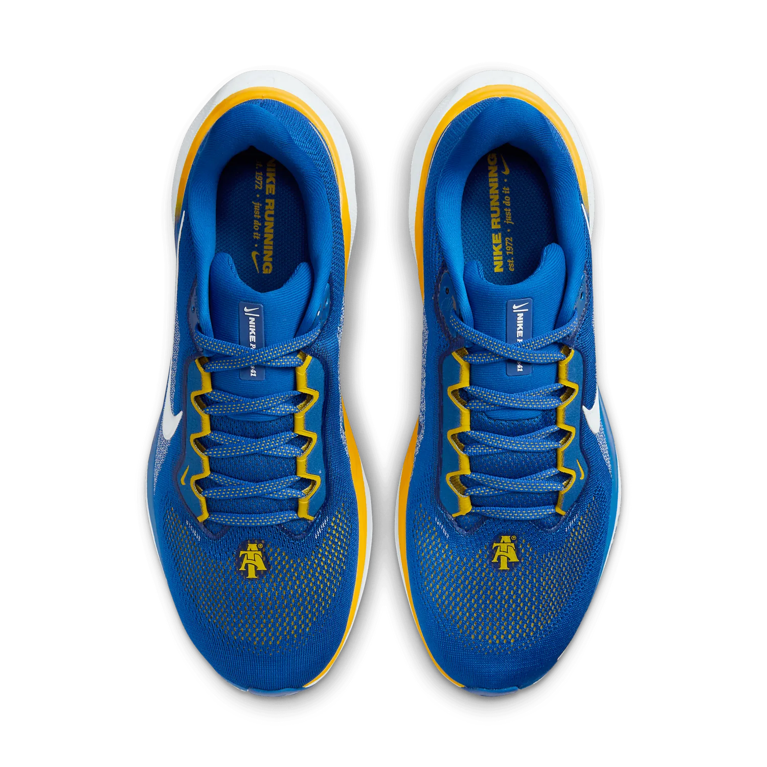 Nike Zoom Pegasus 41 NCAT image 3
