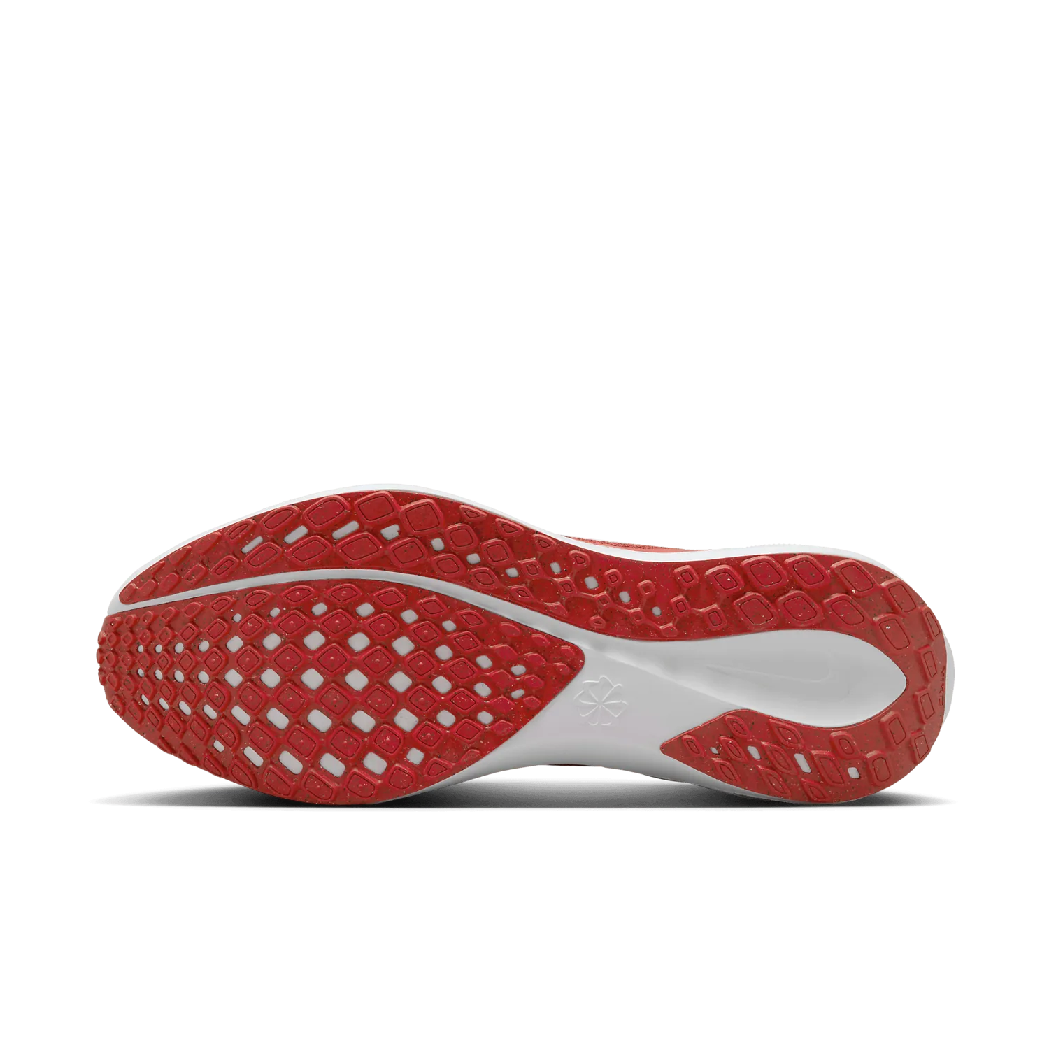 Nike Zoom Pegasus 41 Ohio State image 2