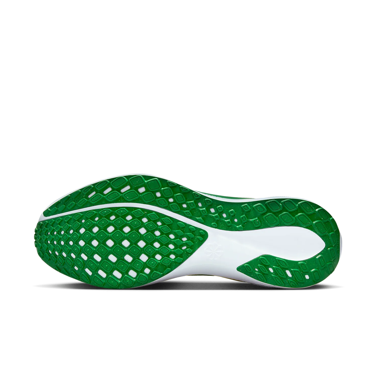 Nike Zoom Pegasus 41 Oregon image 2