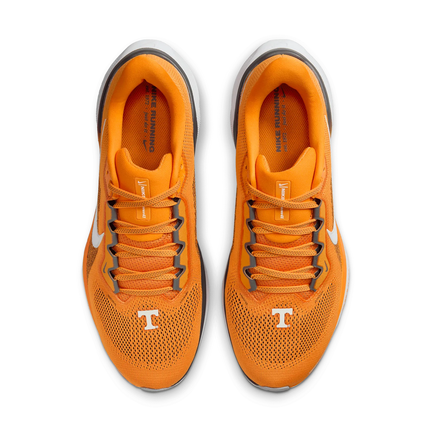 Nike Zoom Pegasus 41 Tennessee image 3