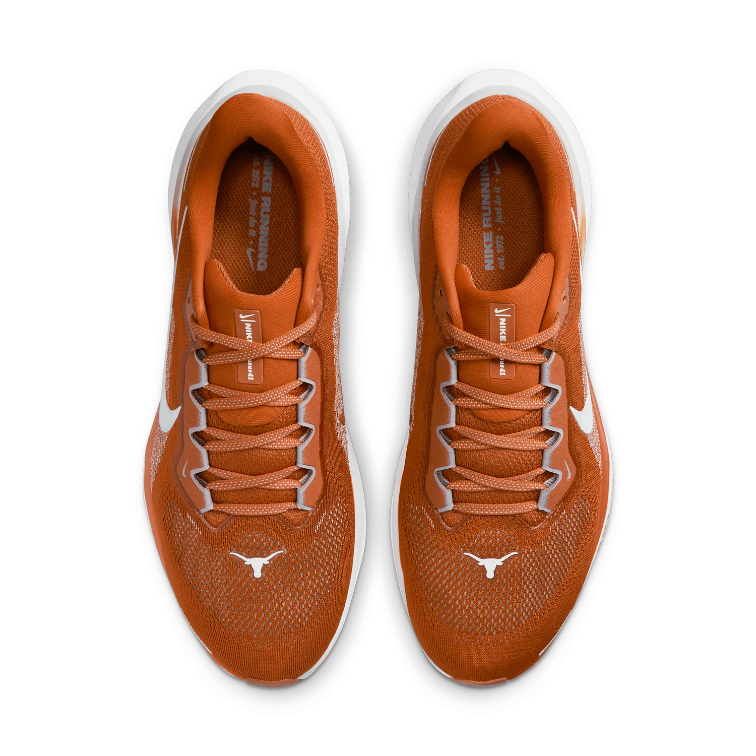 Nike Zoom Pegasus 41 Texas image 3