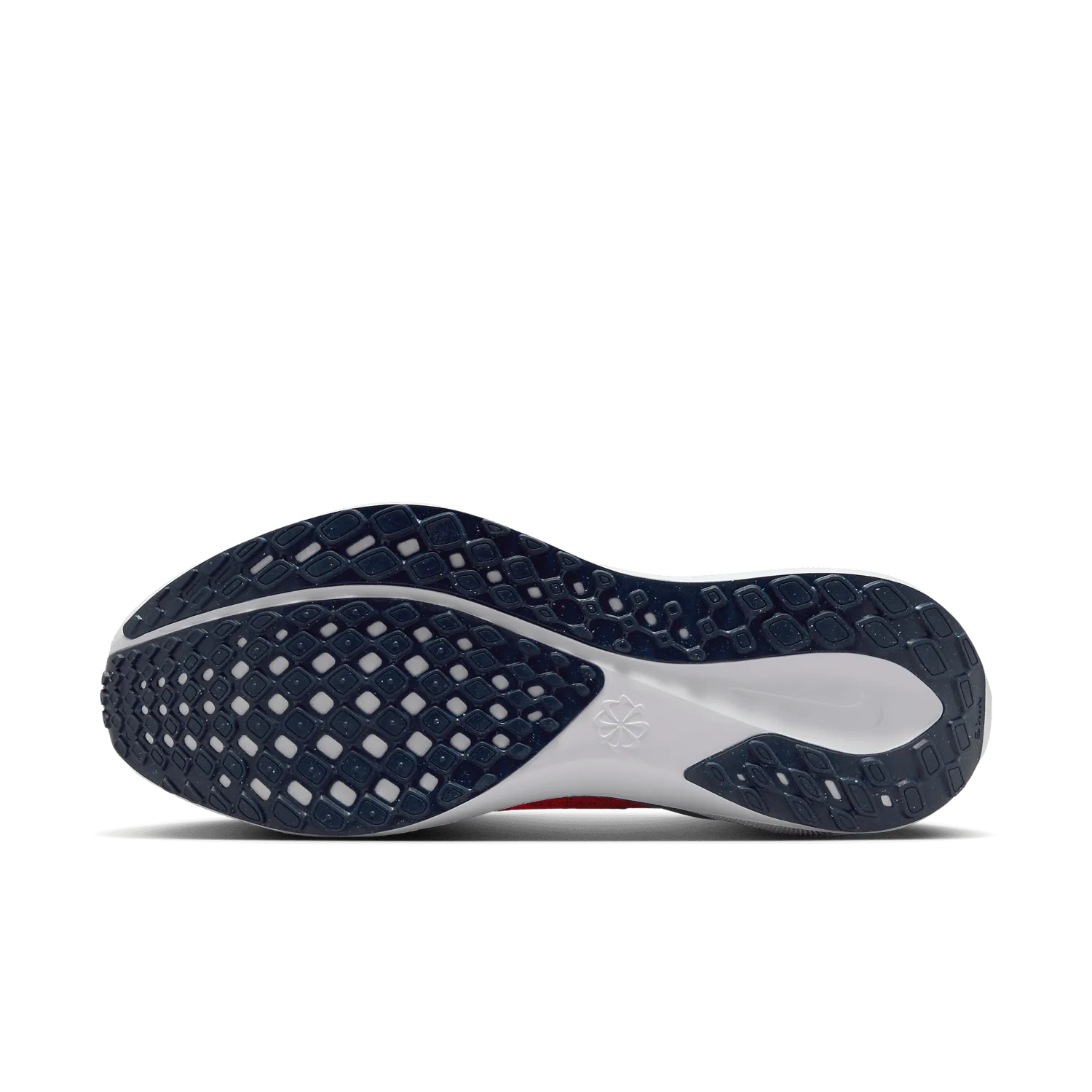 Nike Zoom Pegasus 41 Virginia image 2