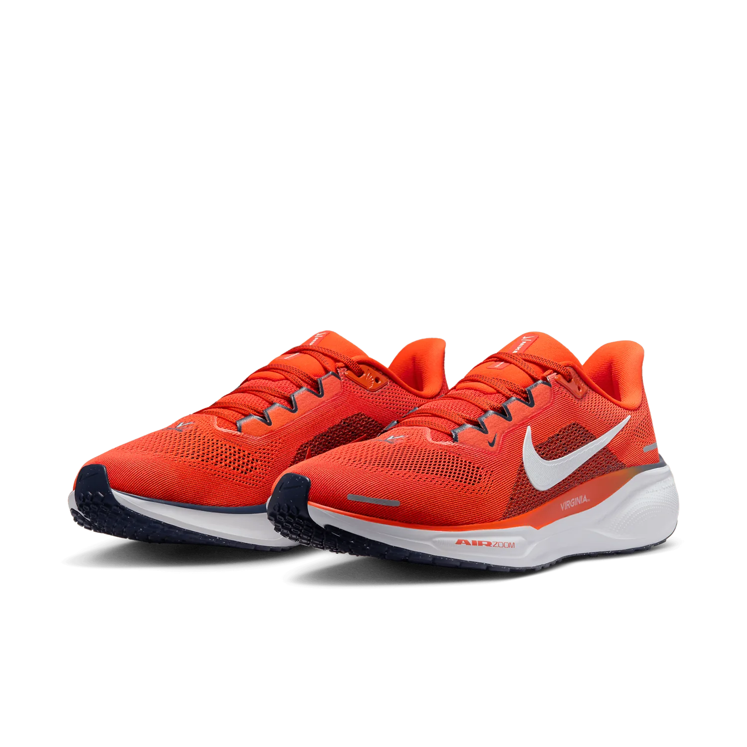 Nike Zoom Pegasus 41 Virginia image 4