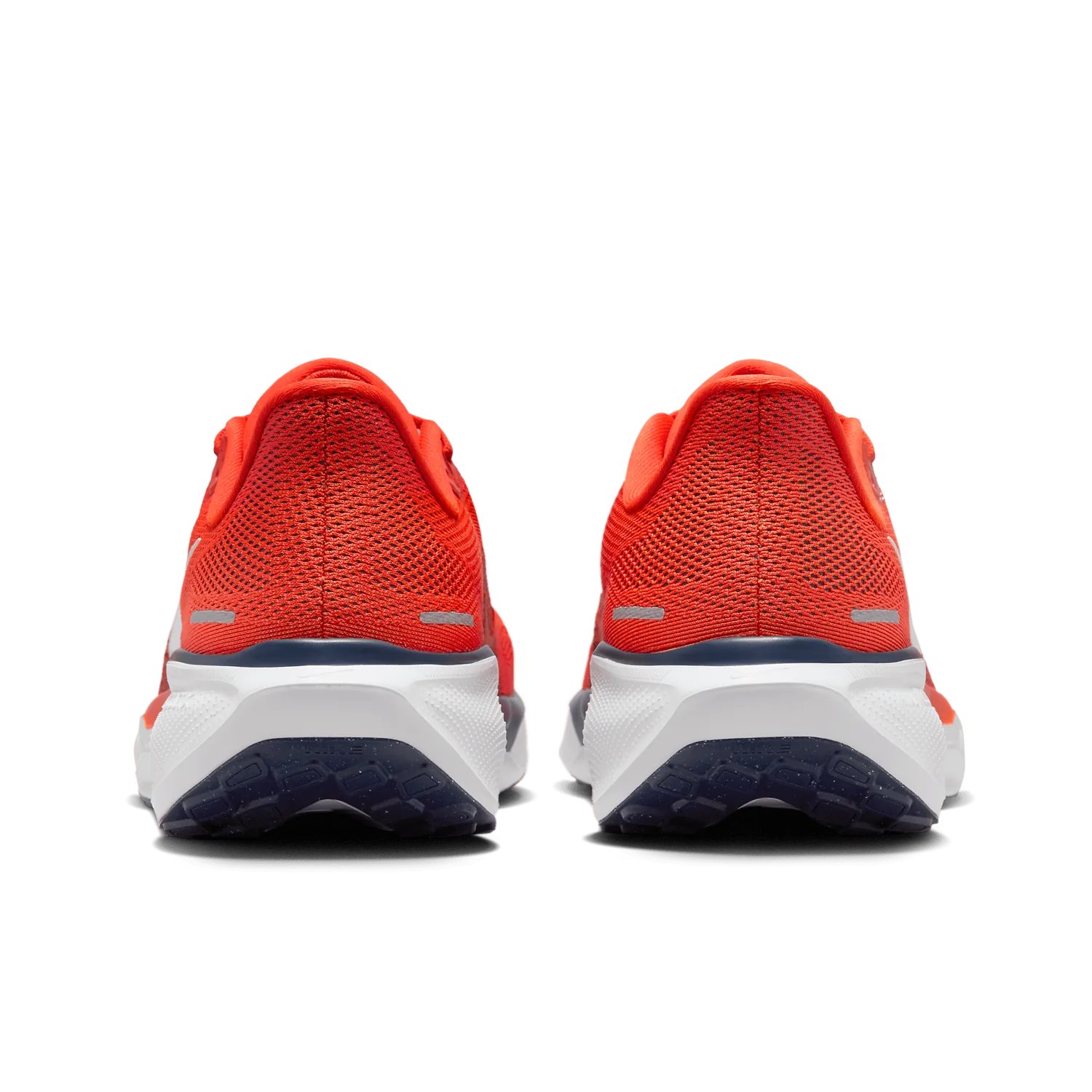 Nike Zoom Pegasus 41 Virginia image 5