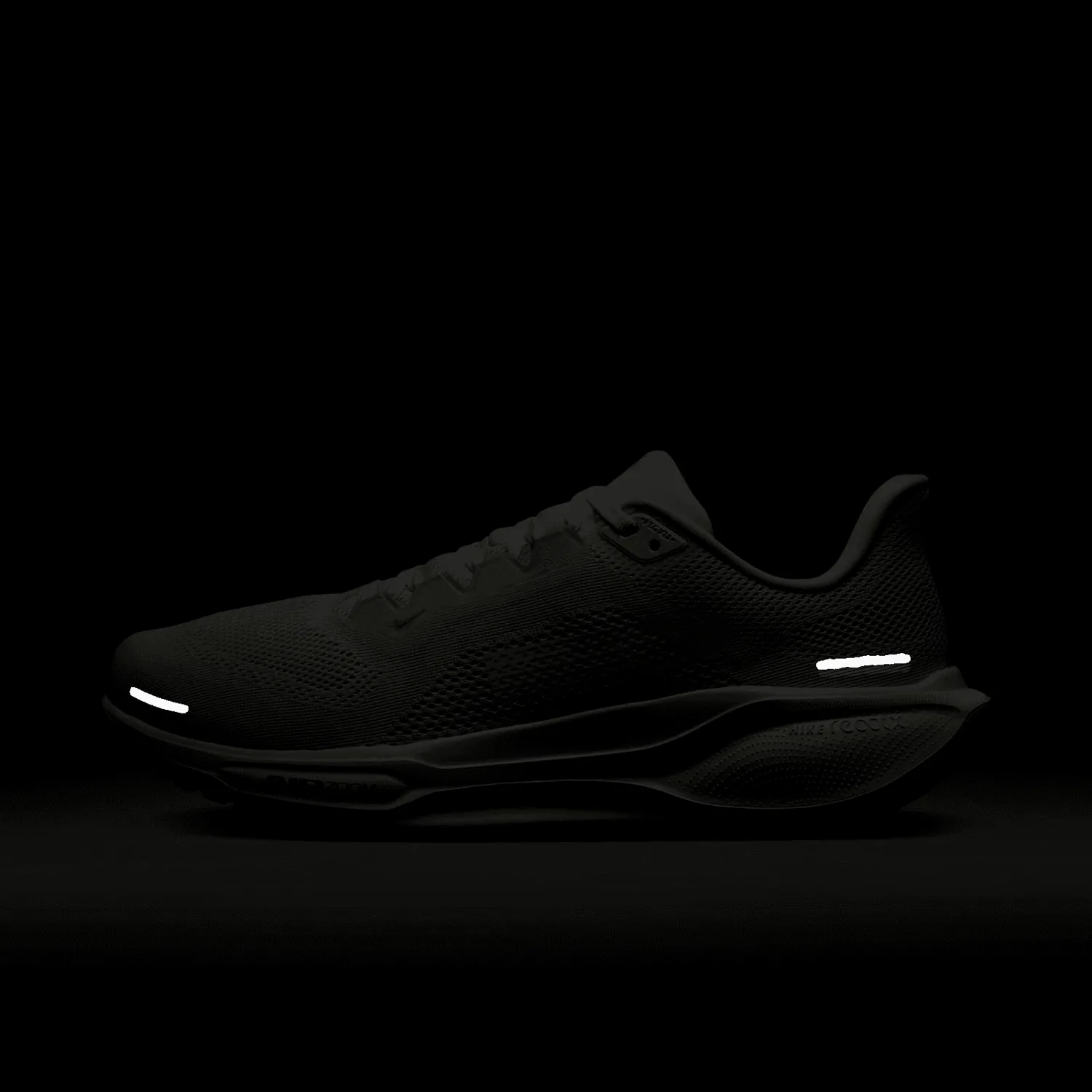 Nike Zoom Pegasus 41 Anniversary image 2