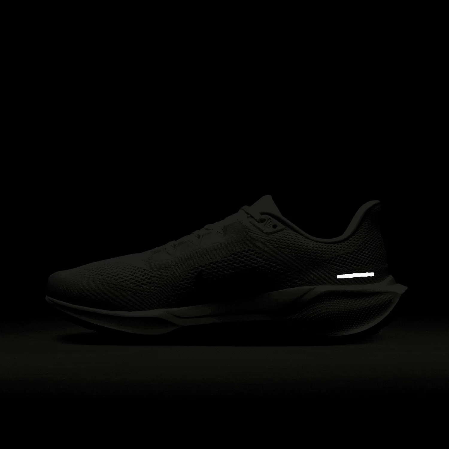 Nike Zoom Pegasus 41 Anniversary image 3
