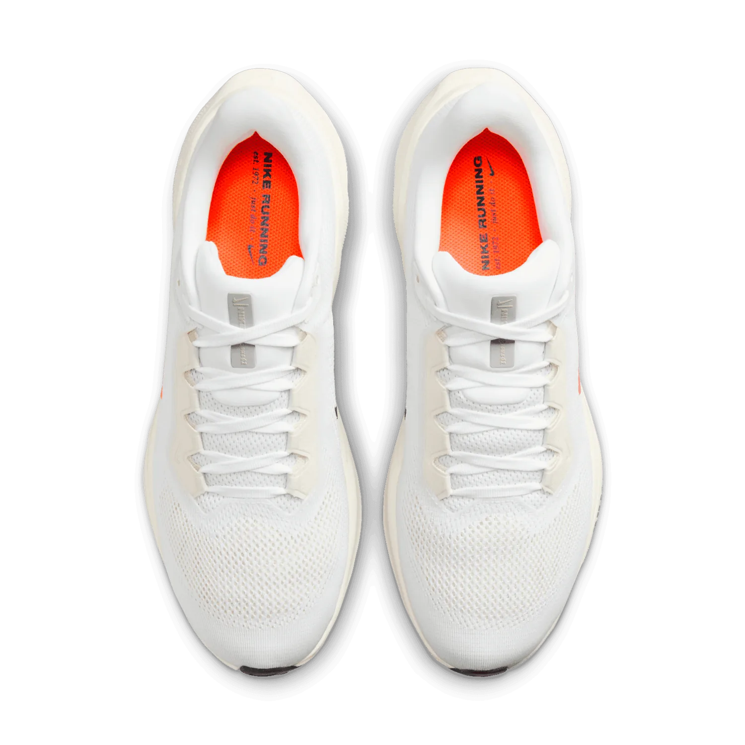 Nike Zoom Pegasus 41 Anniversary image 5