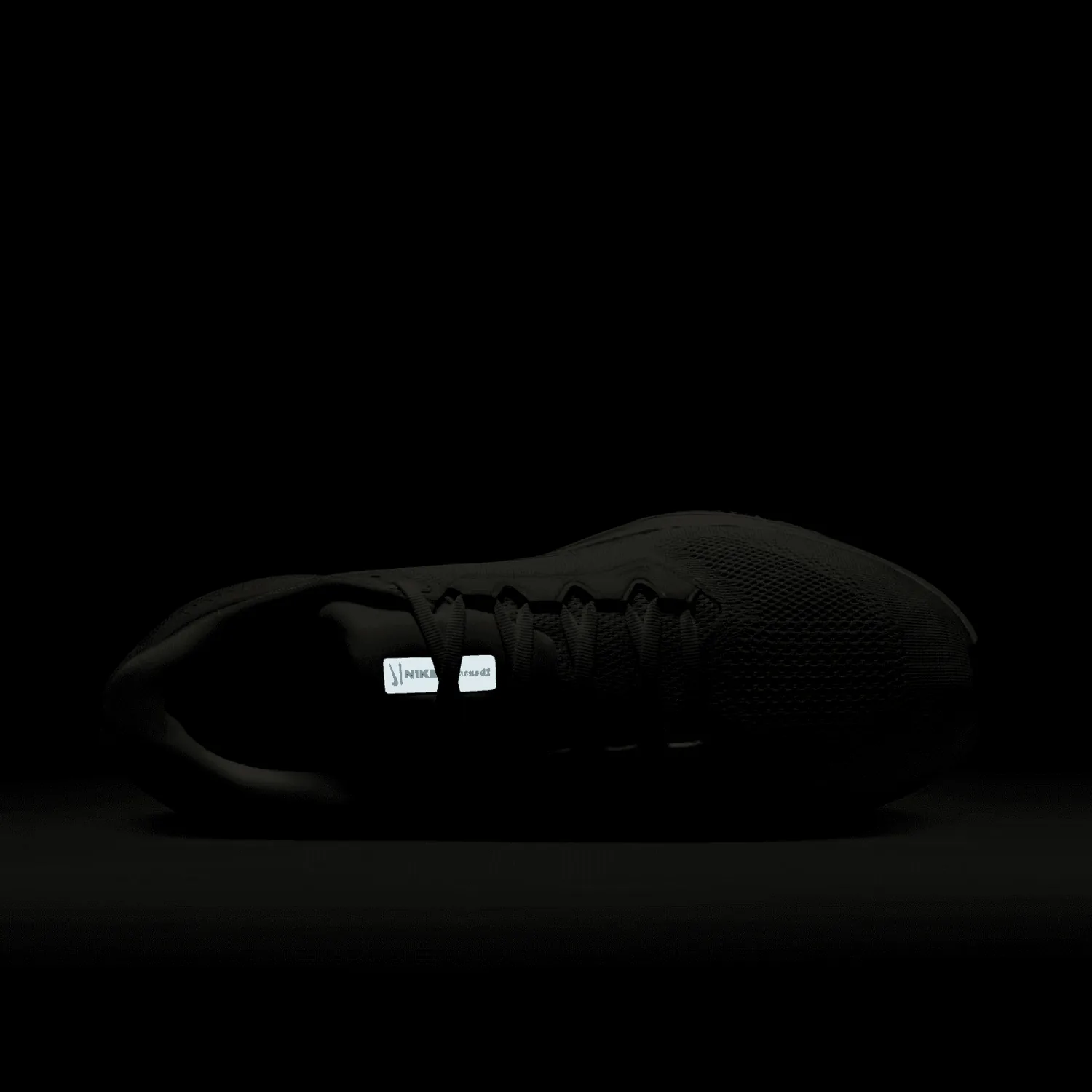 Nike Zoom Pegasus 41 Anniversary image 10