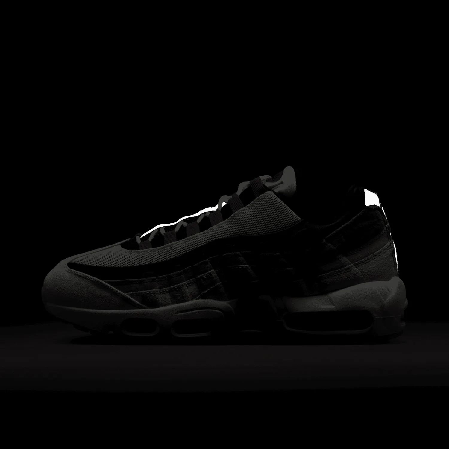 Nike Air Max 95 Nike SB Cactus Flower image 2