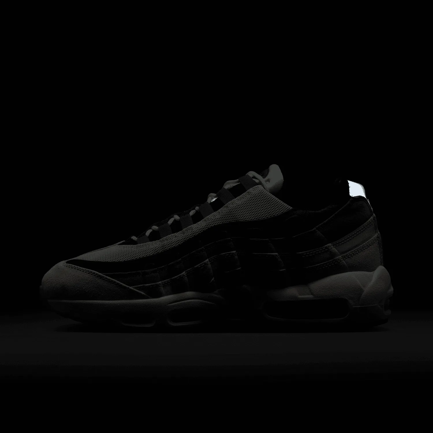 Nike Air Max 95 Nike SB Cactus Flower image 3