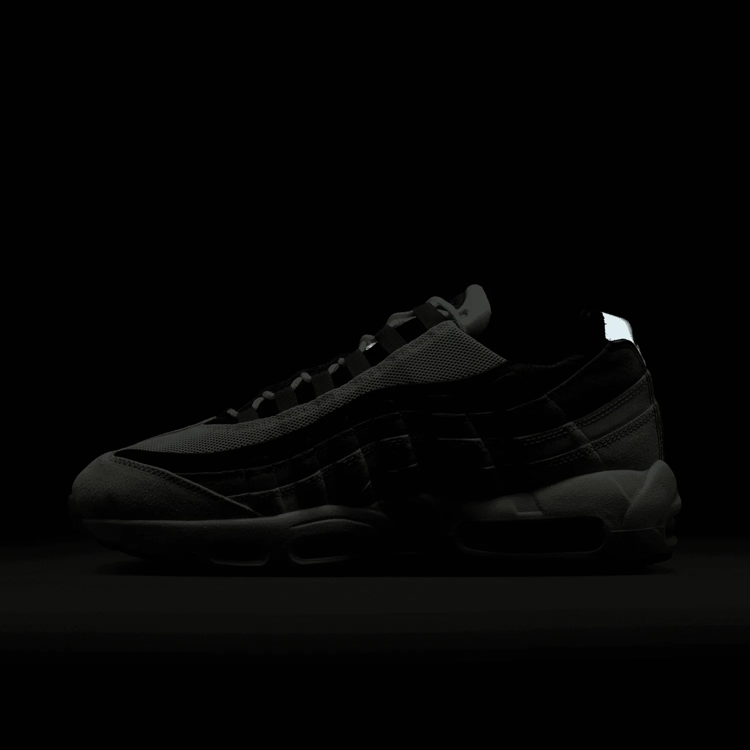 Nike Air Max 95 Nike SB Cactus Flower image 4