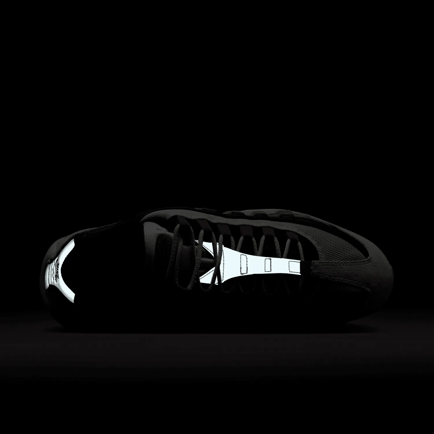 Nike Air Max 95 Nike SB Cactus Flower image 10