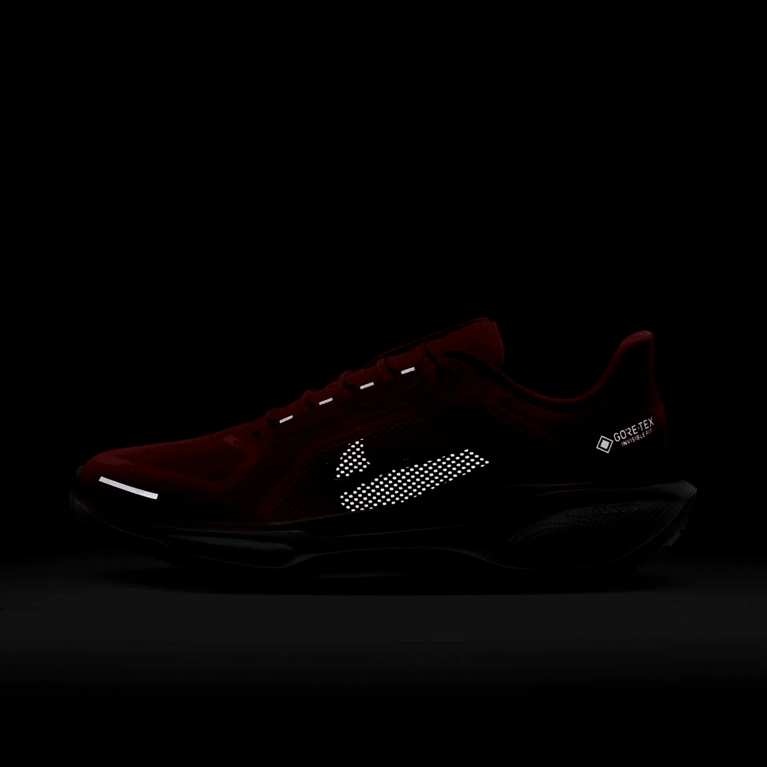 Nike Pegasus 41 GORE-TEX Picante Red image 11