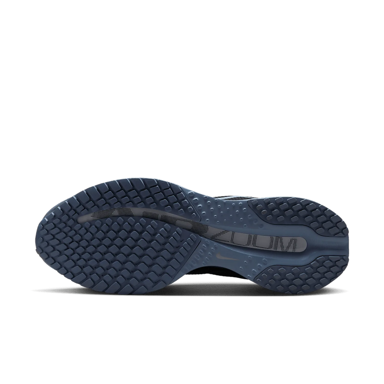 Nike Pegasus Premium Anthracite