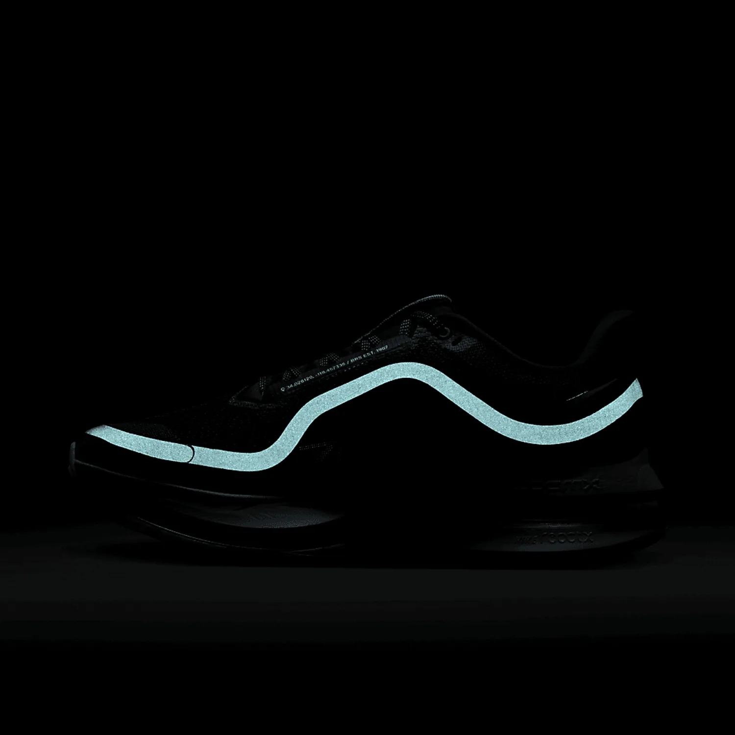 Nike Pegasus Premium Anthracite image 9