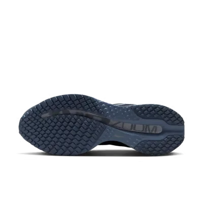 Nike Pegasus Premium Anthracite
