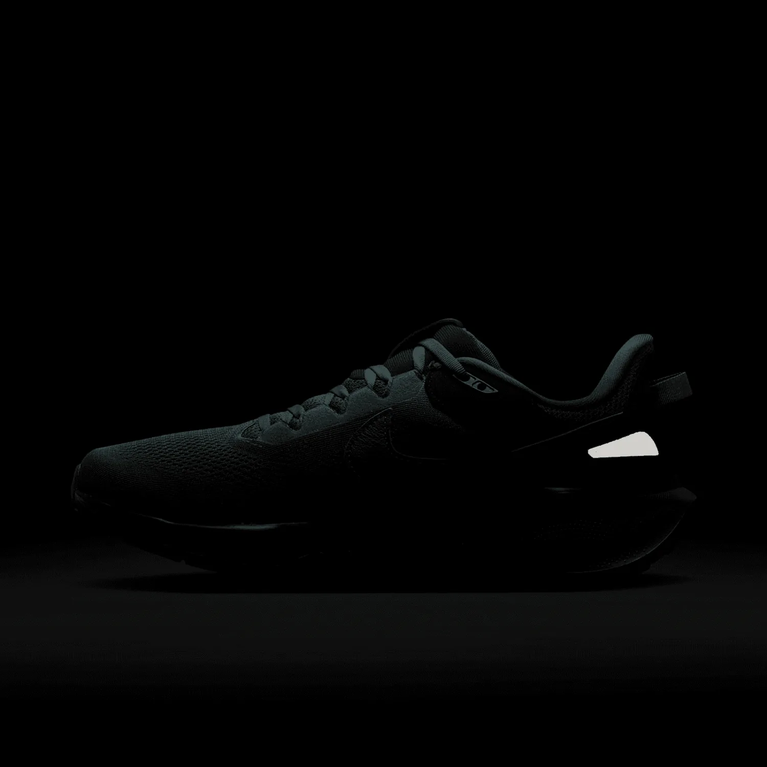 Nike Air Zoom Pegasus 41 Faded Spruce image 9