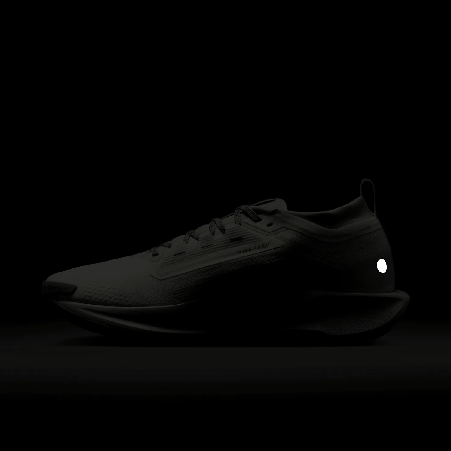 Nike React Pegasus Trail 5 Gore-Tex SP Summit White image 7