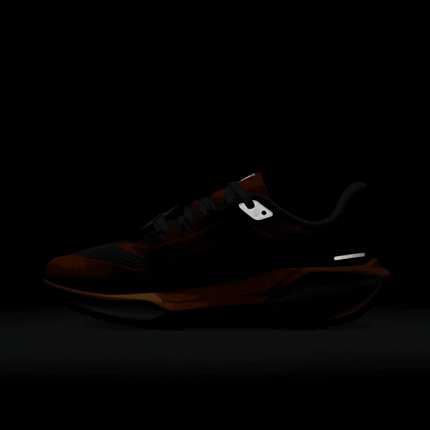 Nike Air Zoom Pegasus 41 DB Tima Sviridenko image 13