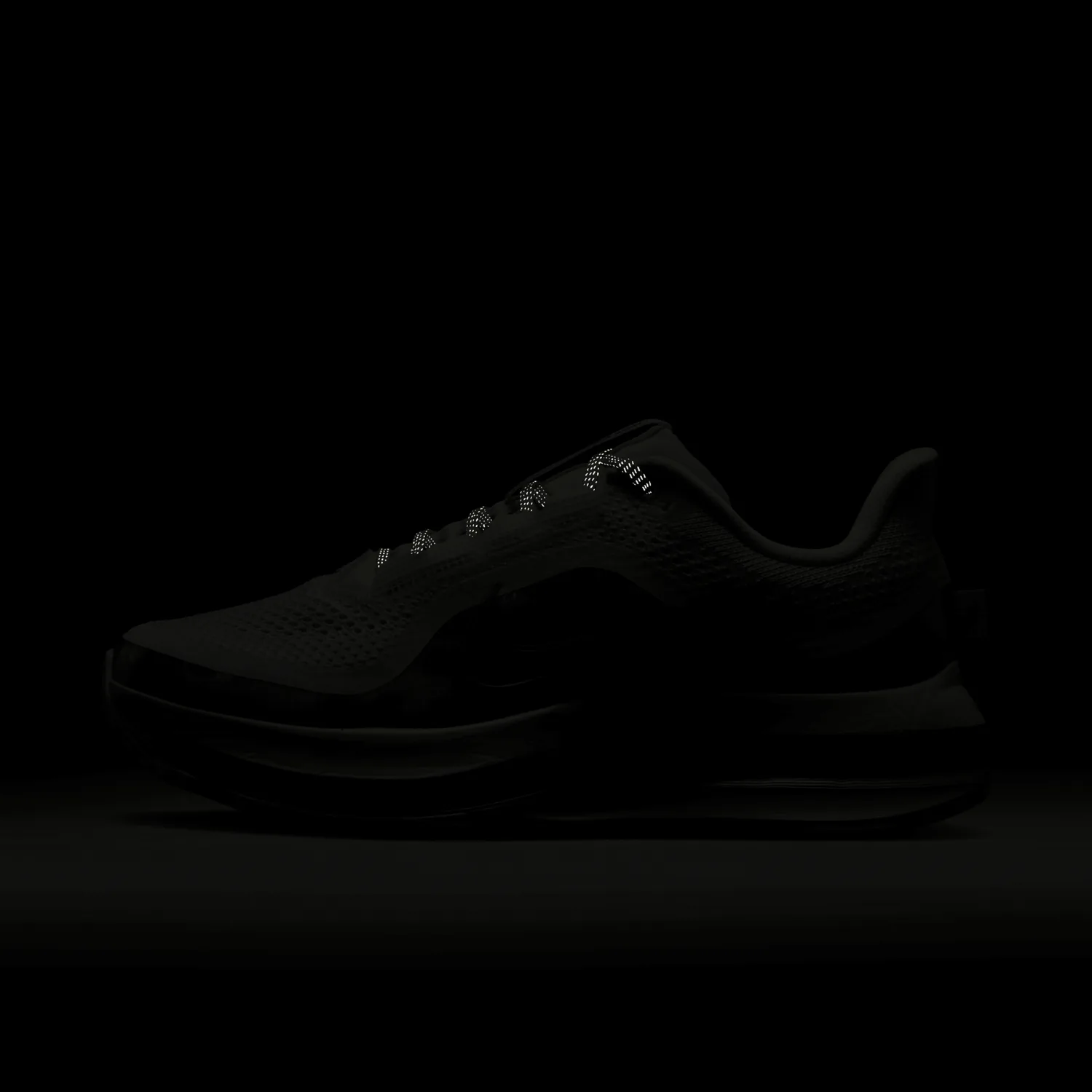 Nike Pegasus Premium Smoke image 2