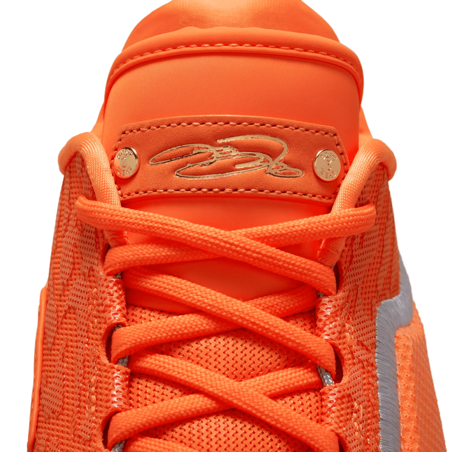 Nike LeBron 23 Shoe Bag image 2