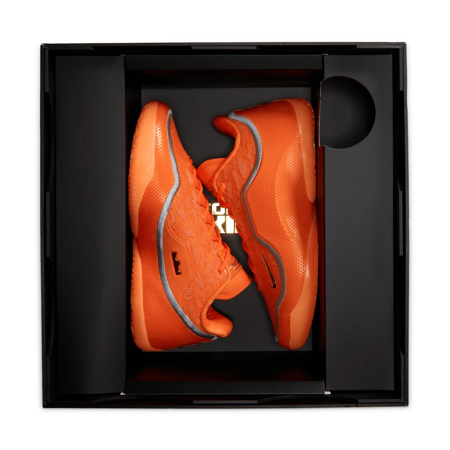 Nike LeBron 23 Shoe Bag image 5
