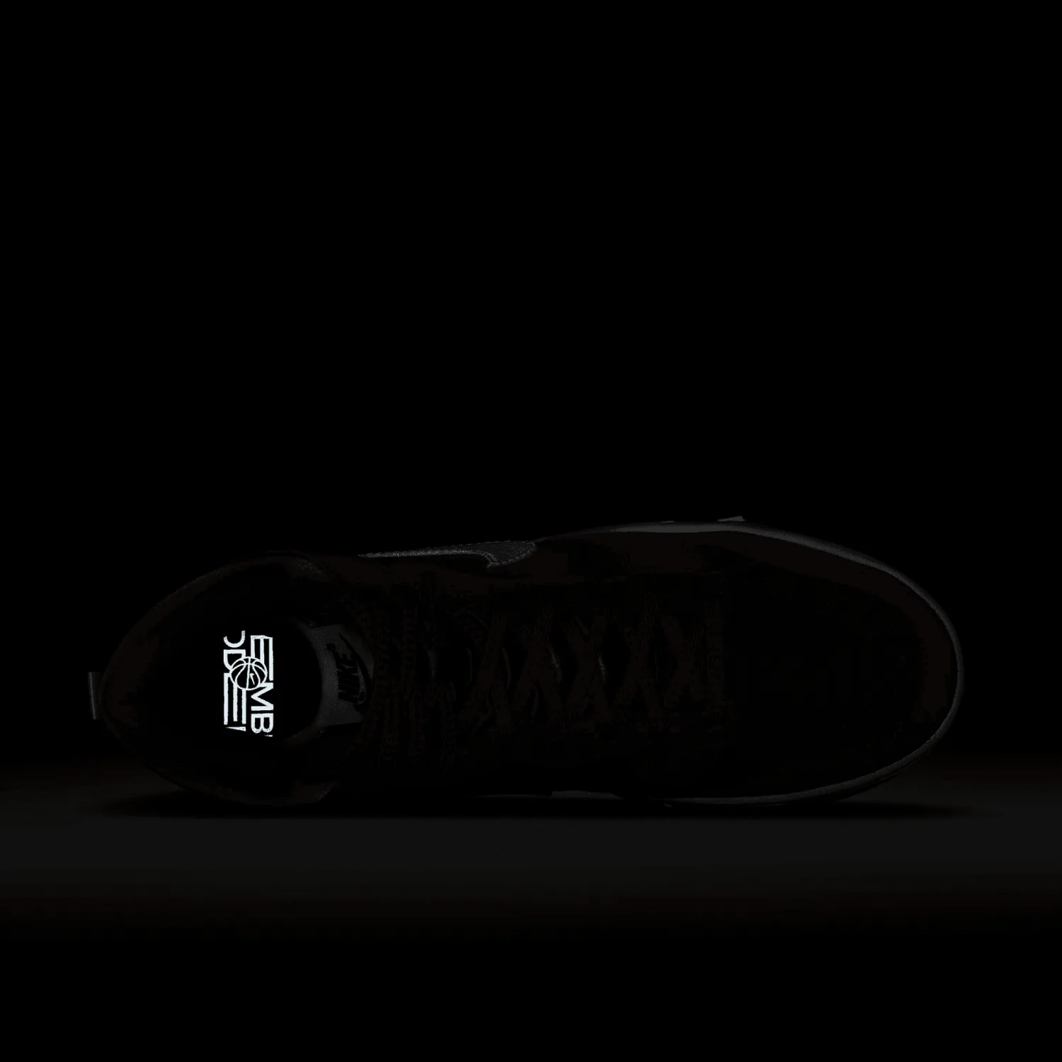 Nike Dunk High x NBA x WNBA EMB (W) image 8