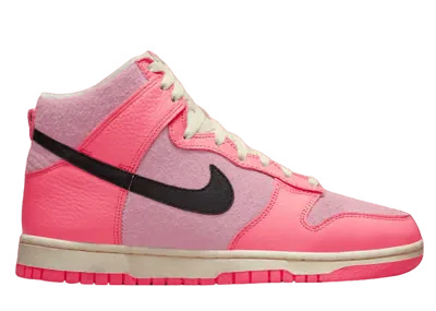 Nike Dunk High Hoops (W)