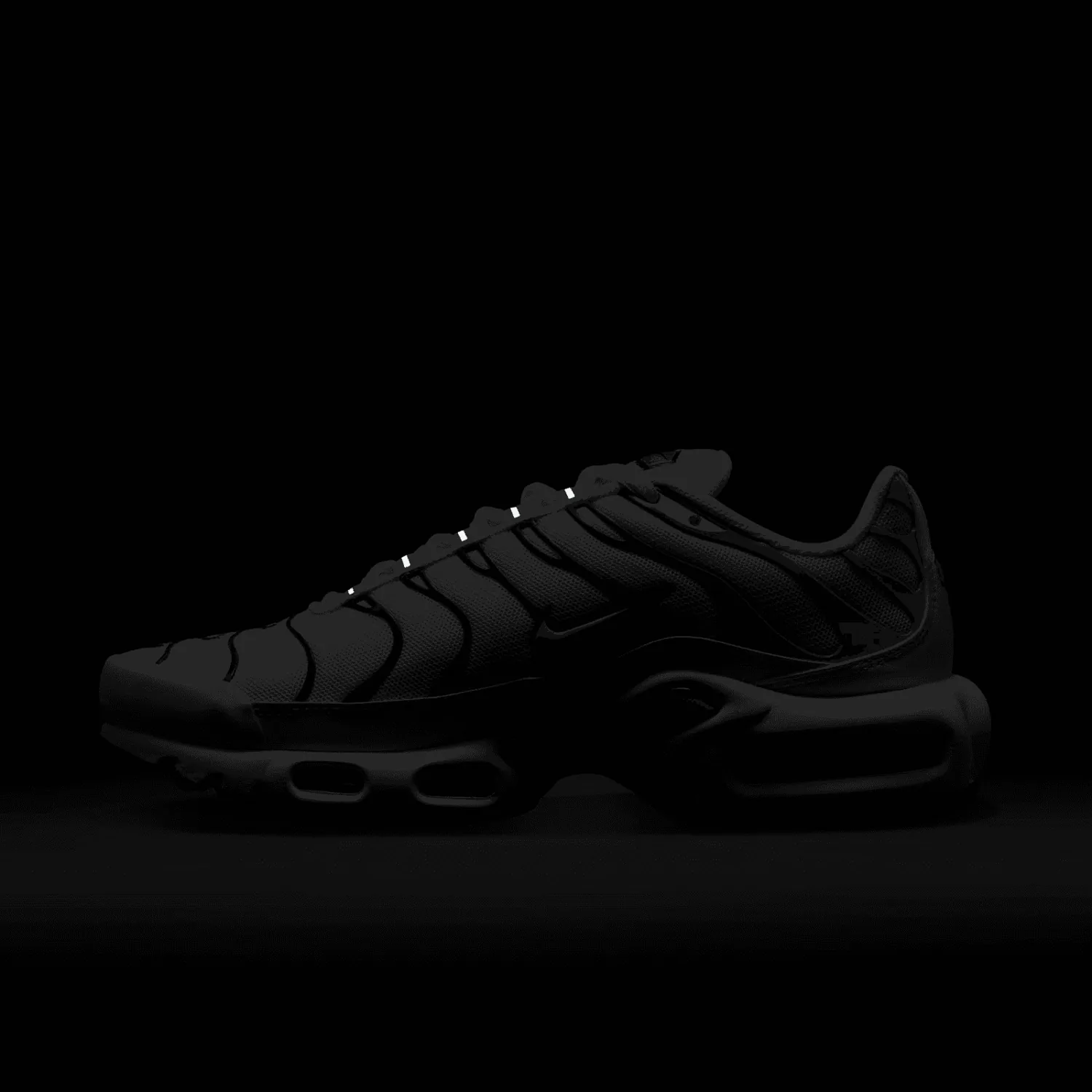 Nike Air Max Plus Brazil (W) image 2