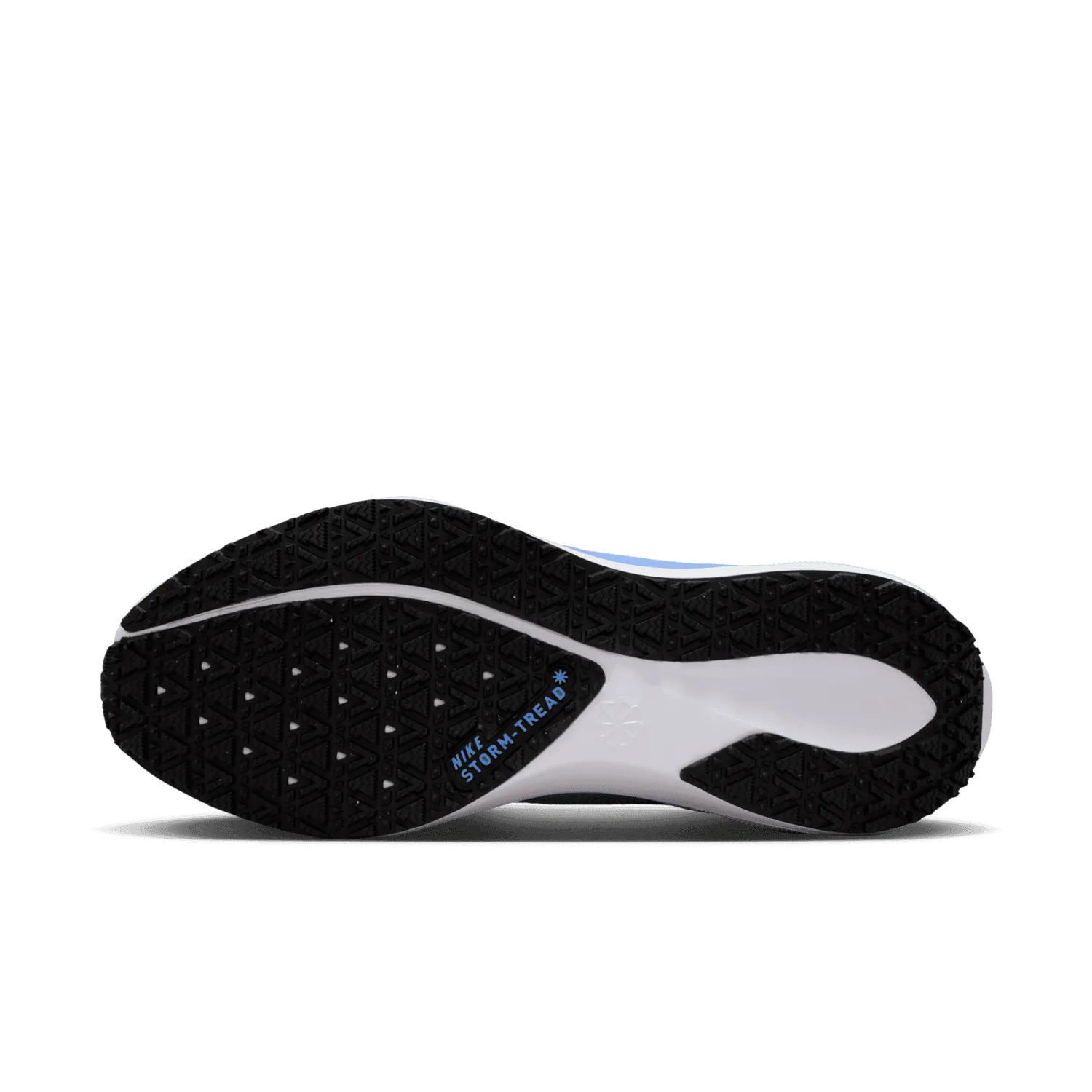 Nike Pegasus 41 GORE-TEX Cobalt (W)