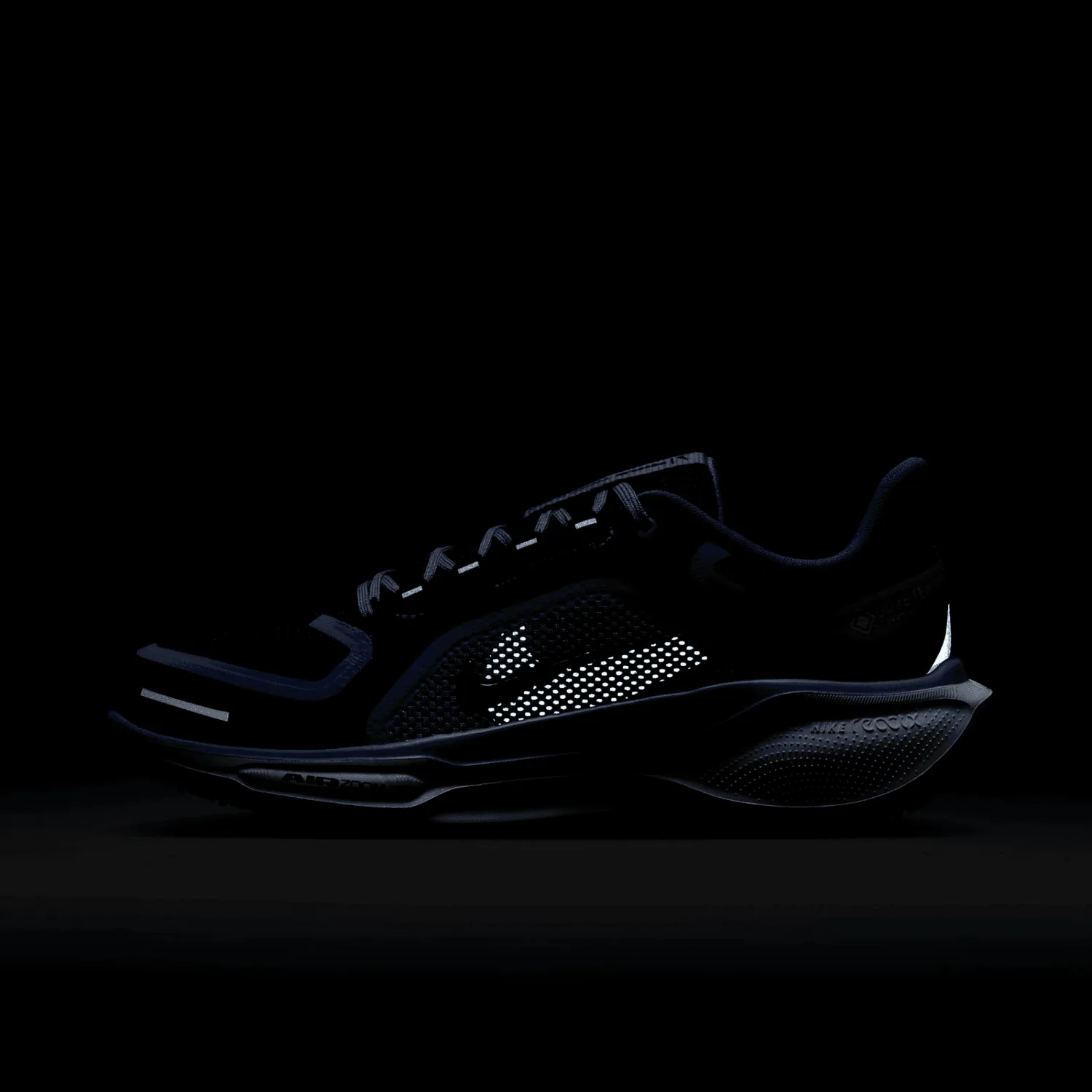 Nike Pegasus 41 GORE-TEX Cobalt (W) image 9
