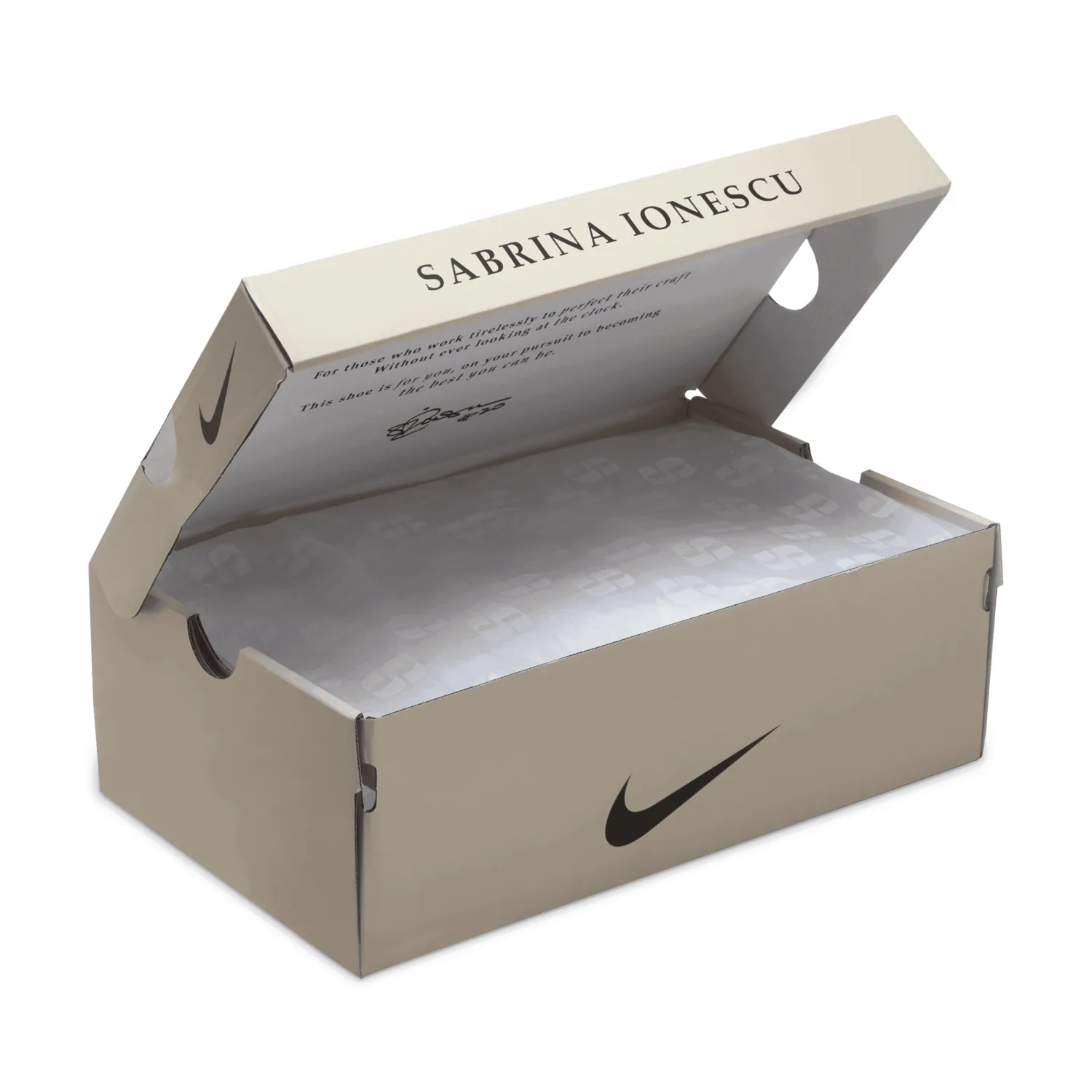Nike Sabrina 1 Grounded (W) image 9