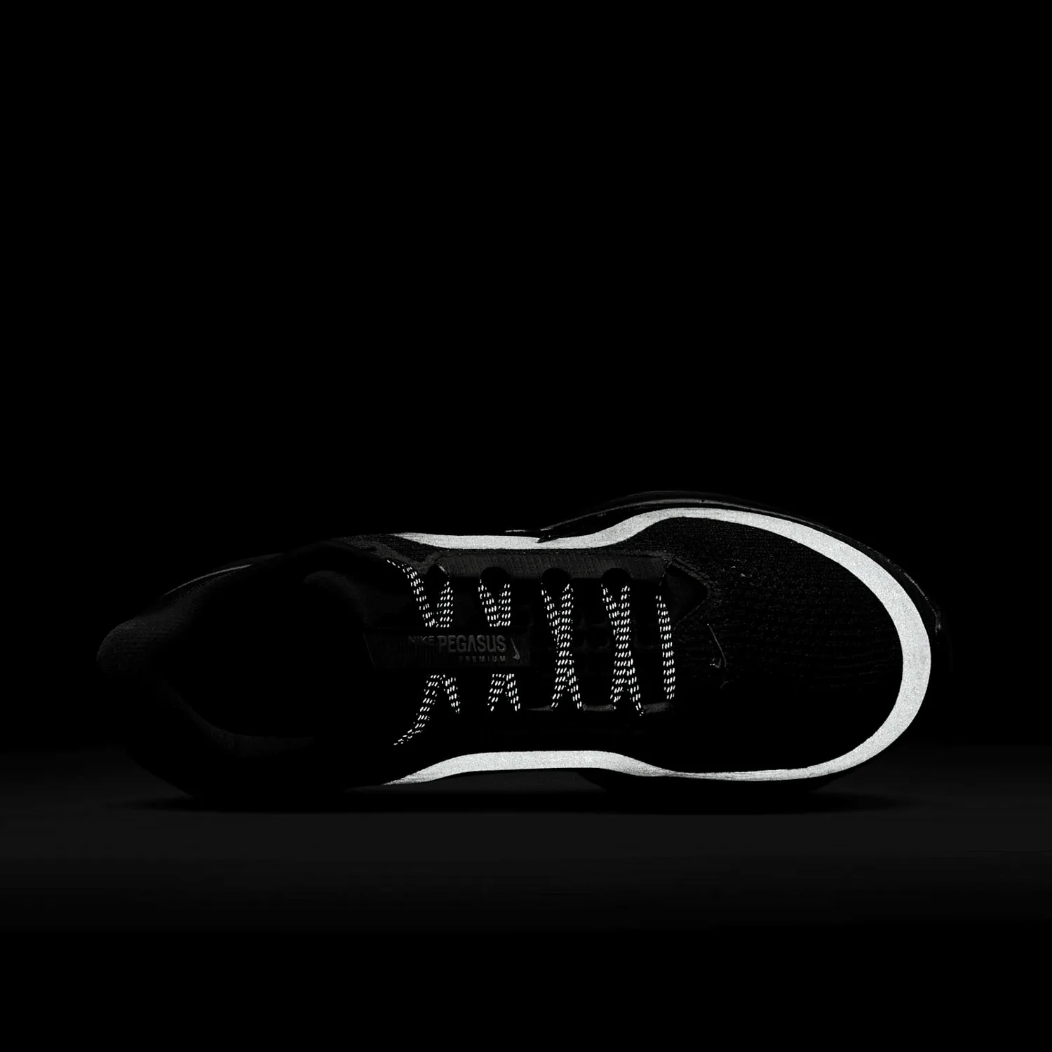 Nike Air Pegasus Premium Black Metallic Silver (W) image 8