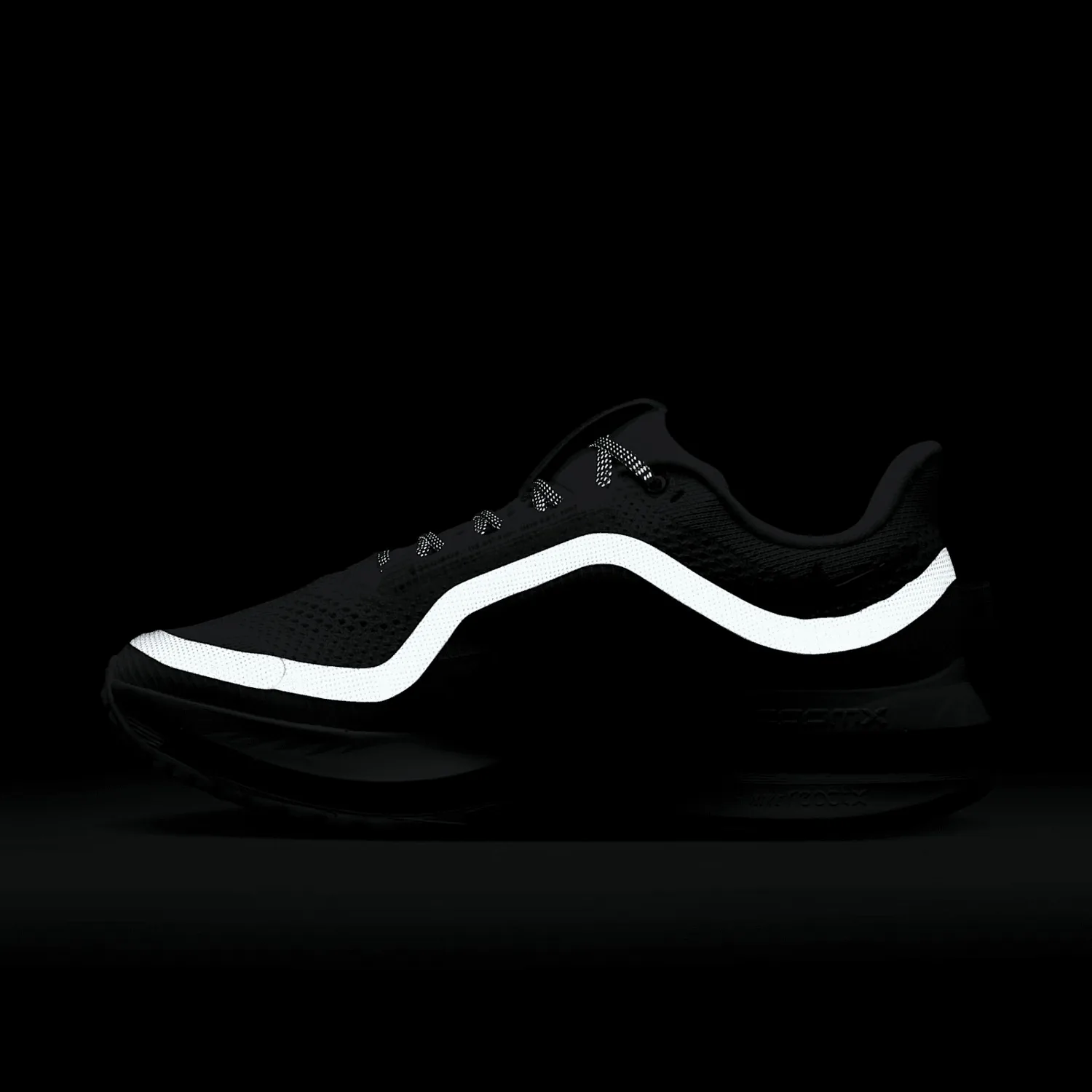 Nike Pegasus Premium After Dark Tour (W) image 3