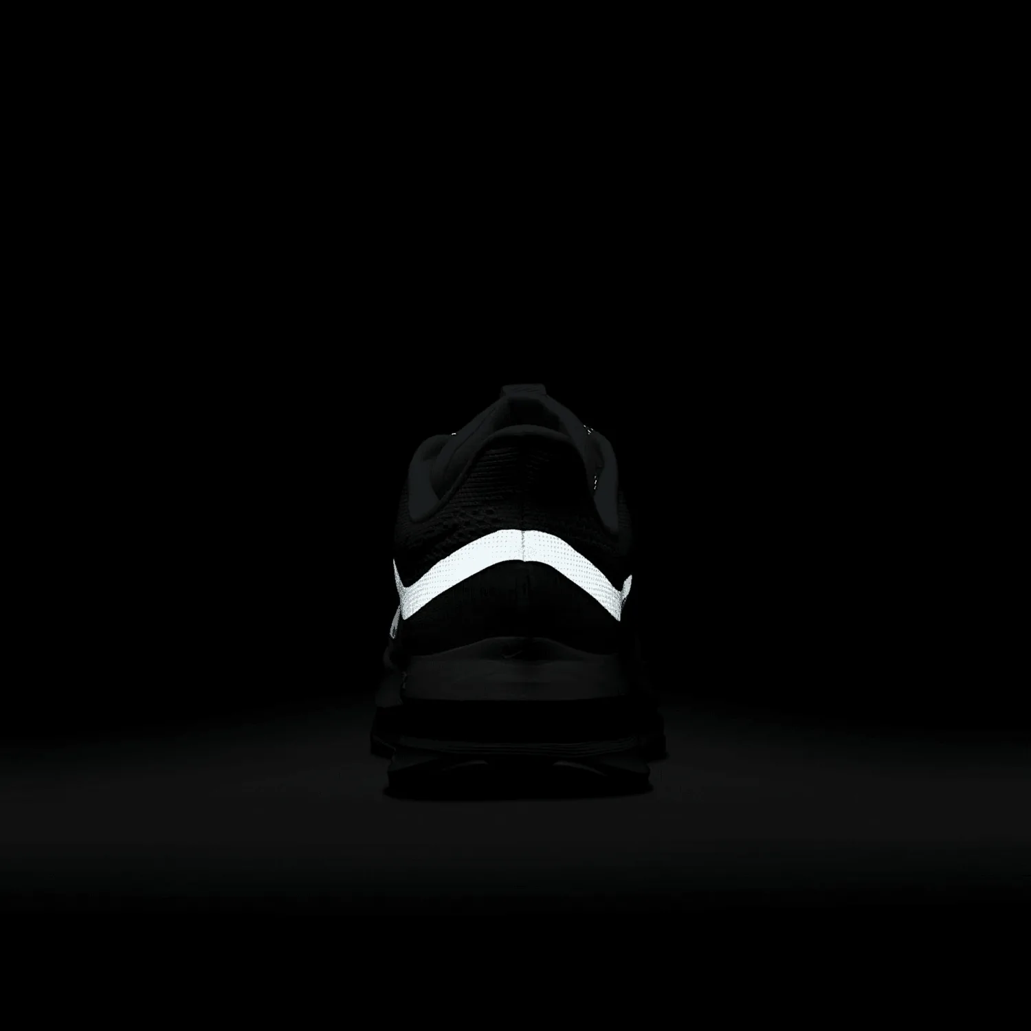Nike Pegasus Premium After Dark Tour (W) image 11