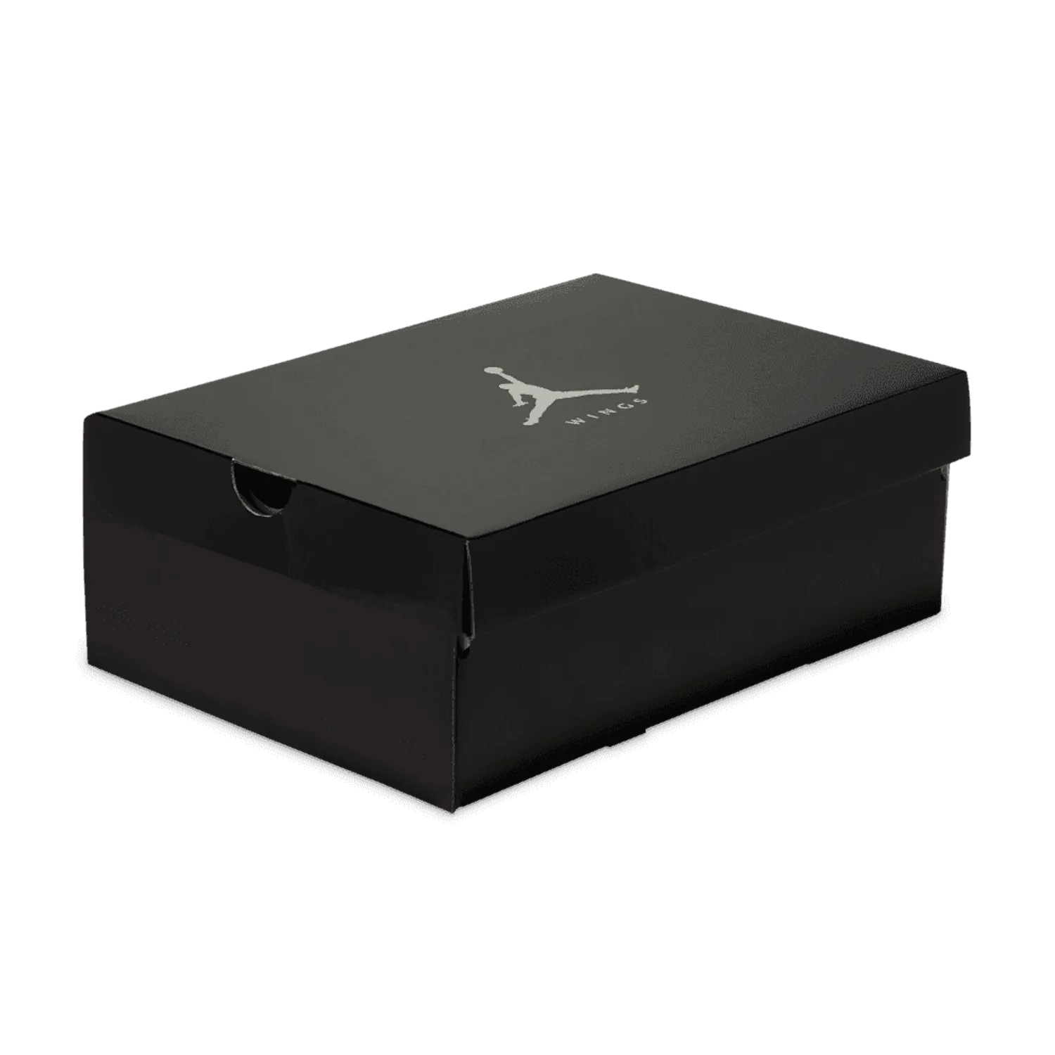 Air Jordan 5 Retro Wings (W) image 2